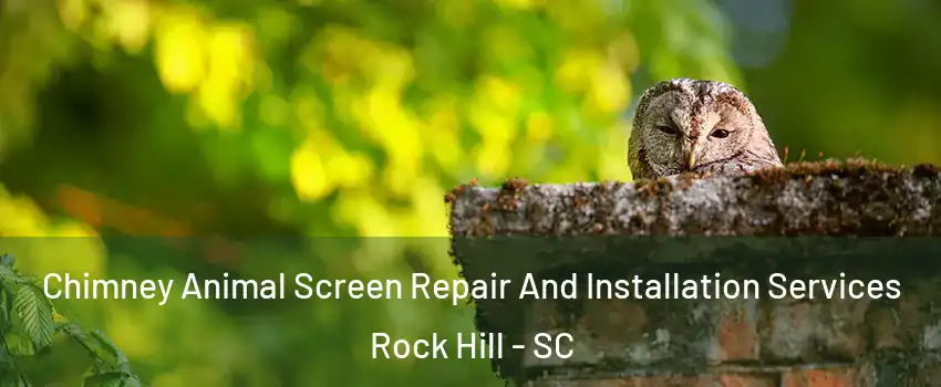  Chimney Animal Screen Repair And Installation Services Rock Hill - SC