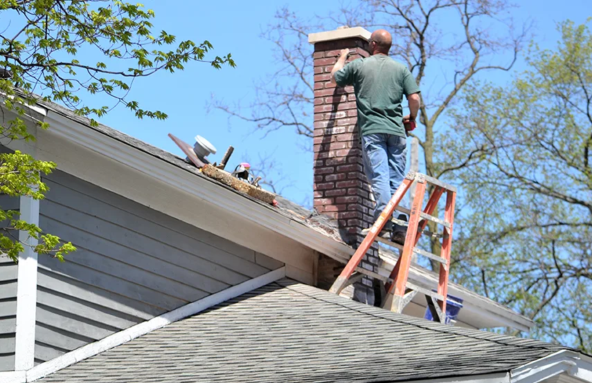 Chimney & Fireplace Inspections Services in Rock Hill, SC