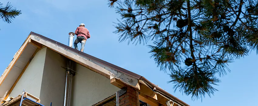 Birds Removal Contractors from Chimney in Rock Hill, SC