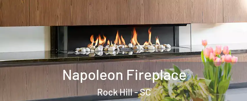  Napoleon Fireplace Rock Hill - SC